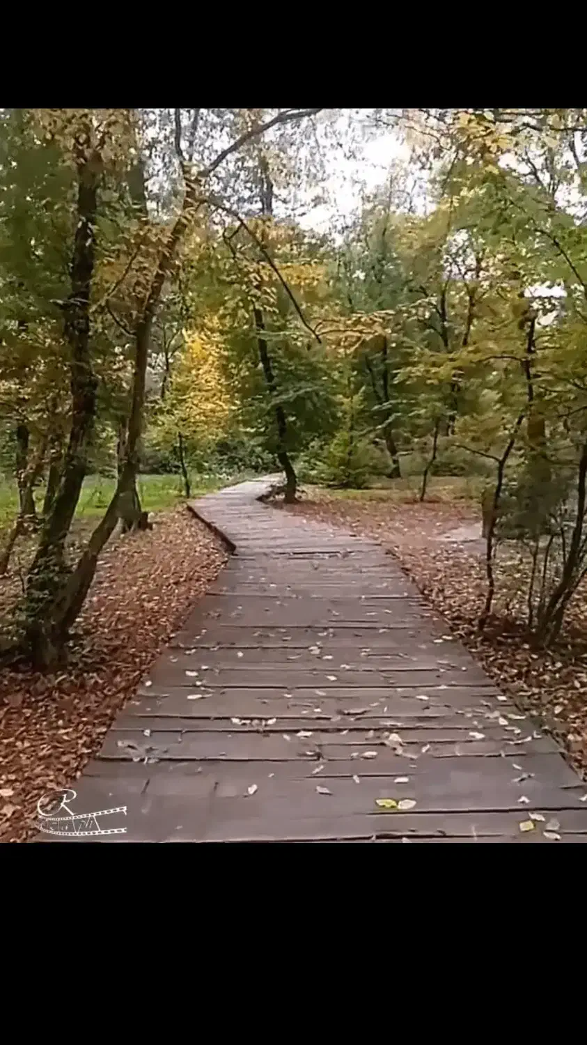 تور در شهر گرگان|تور و چارتر|گرگان, |دیوار