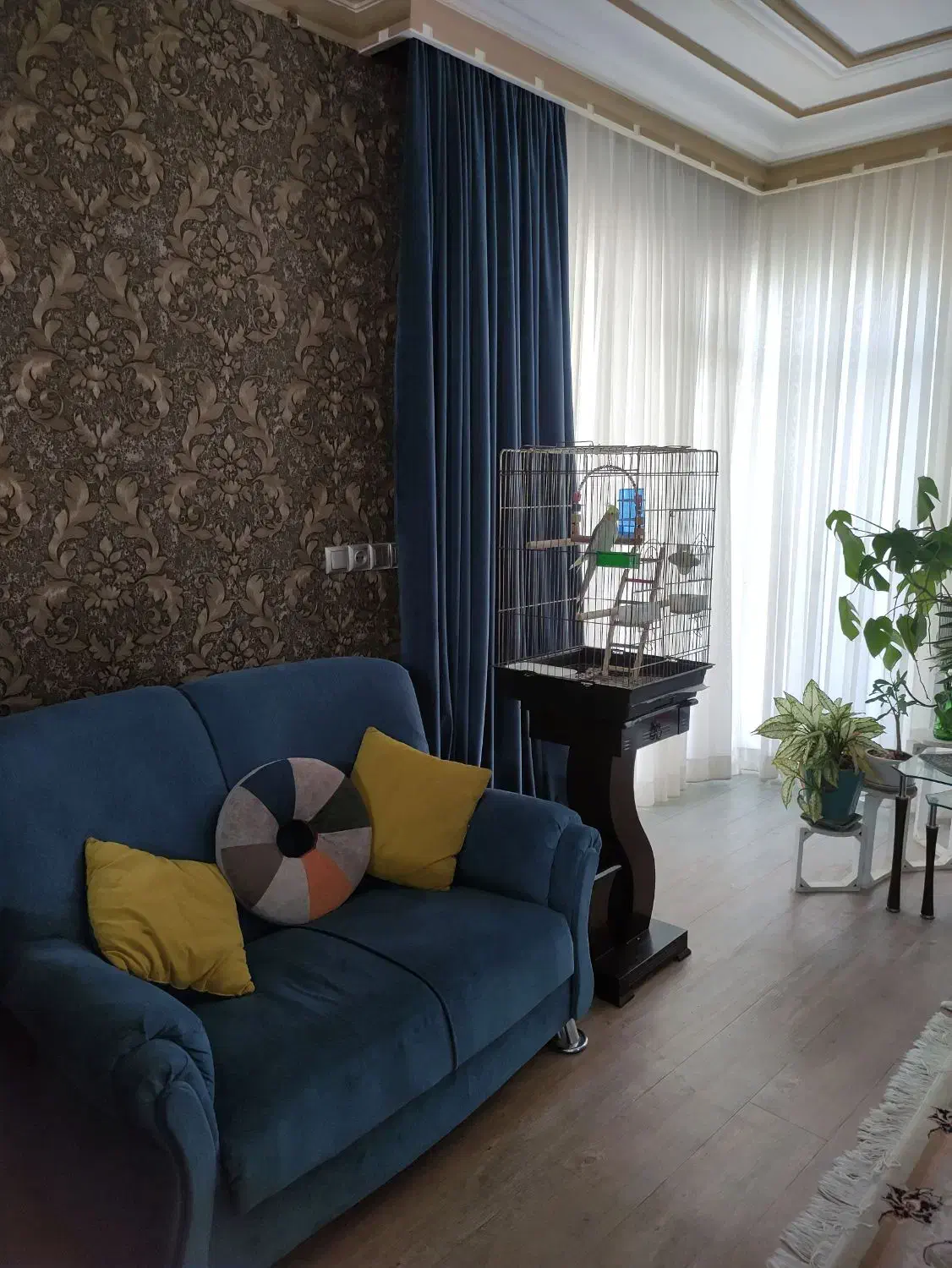 موکت|حراج|رشت, گلسار|دیوار