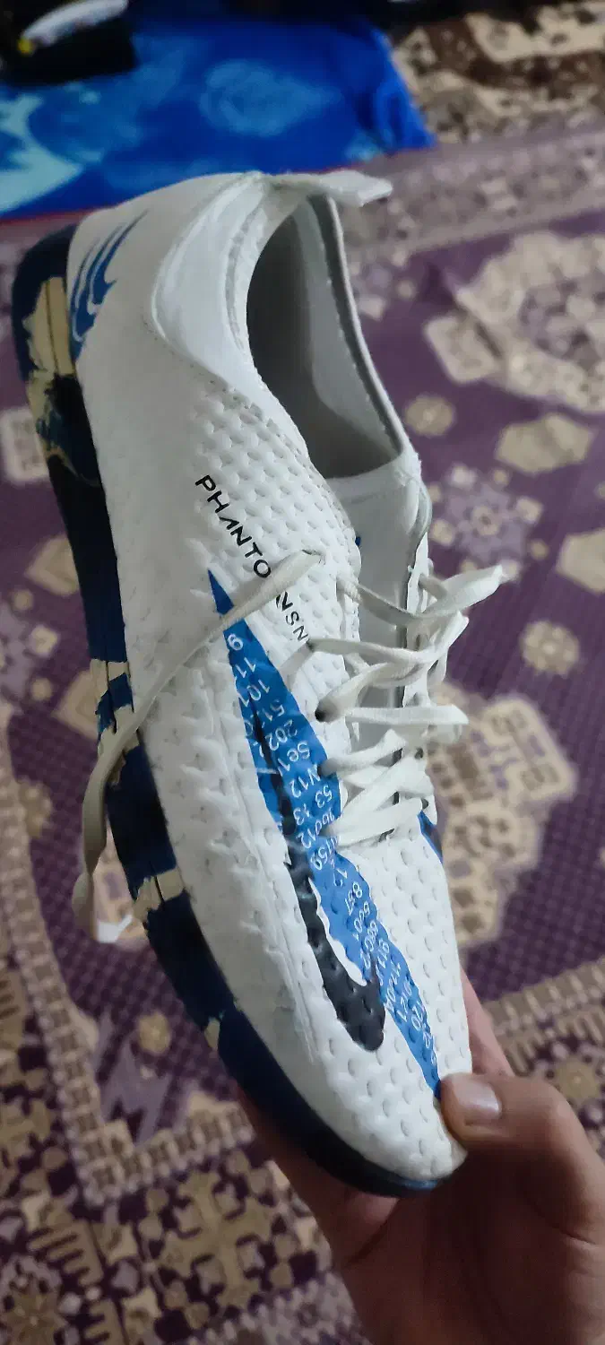 کفش ورزشی|کیف، کفش، کمربند|اهر, |دیوار