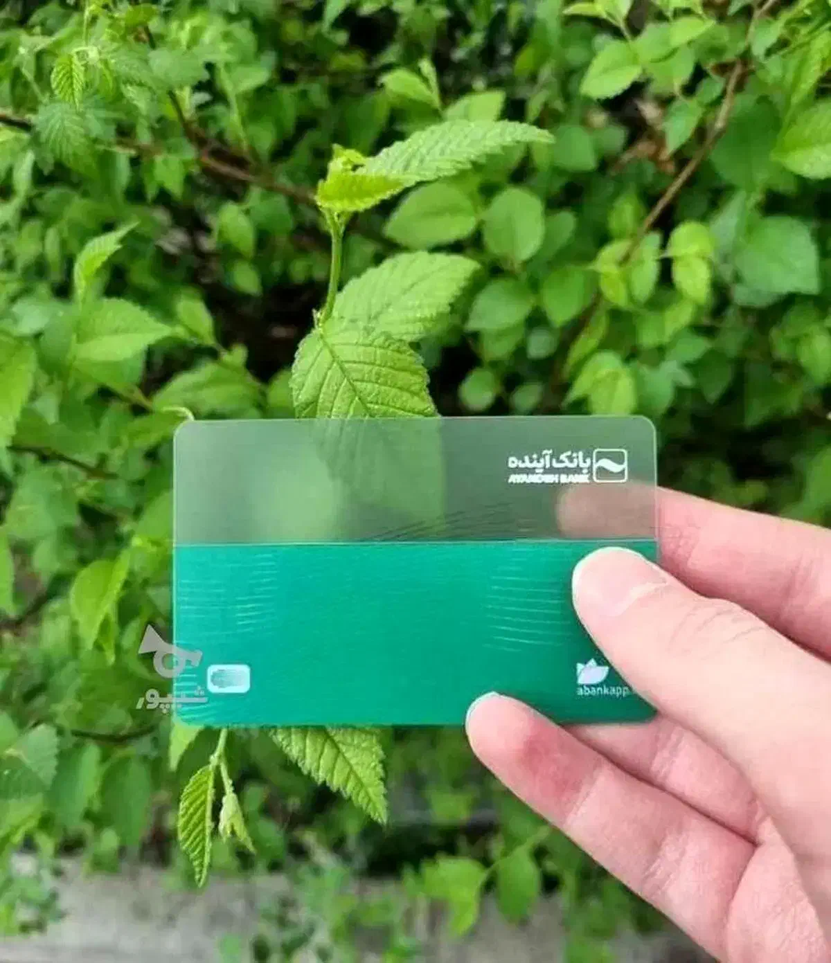 پنجاه هزار جایزه بگیر|کارت هدیه و تخفیف|بیستون, |دیوار