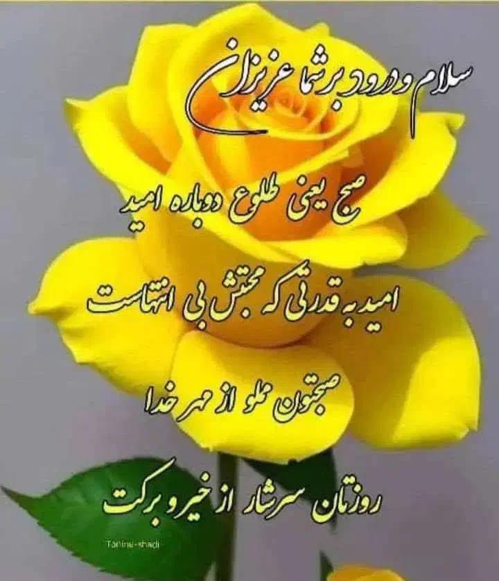 نیازمند به یه نظافت چی در منزل|خدمات نظافت|دزفول, |دیوار