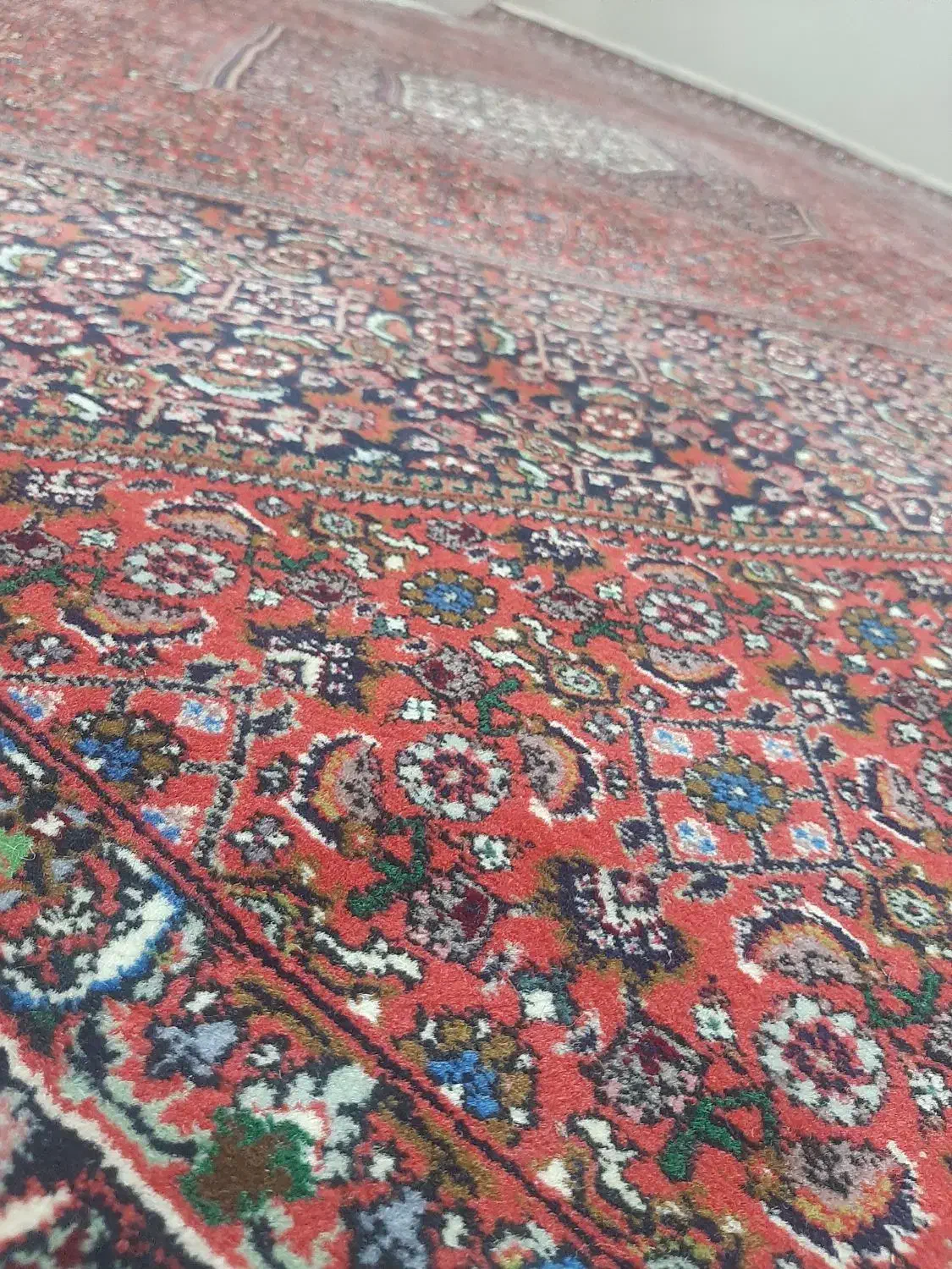 فرش دستبافت افشار|فرش|نسیم‌شهر, |دیوار