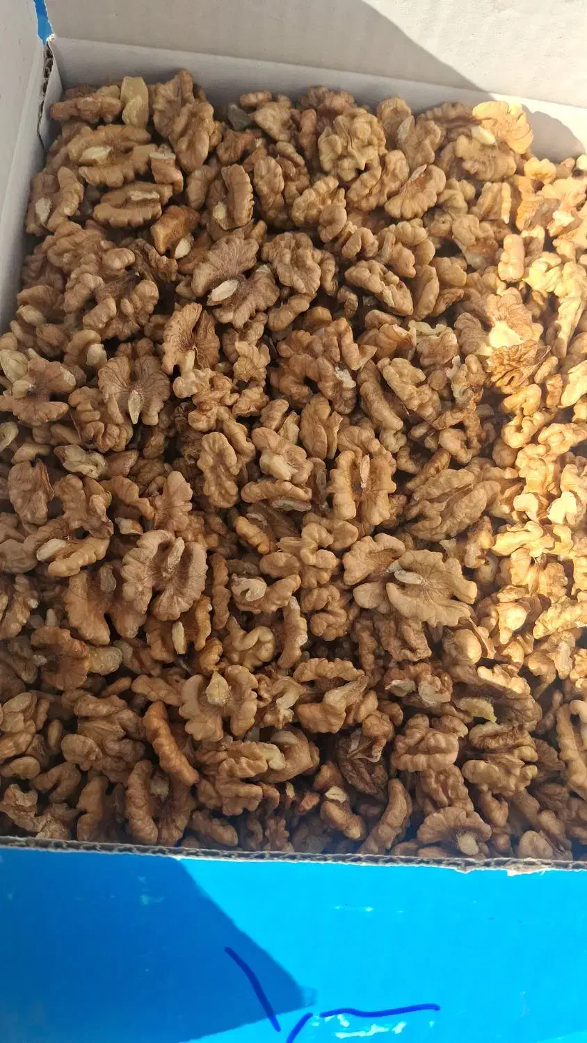 مغز گردو ایرانی|عمدهفروشی|کاشان, پشت شهربانی|دیوار