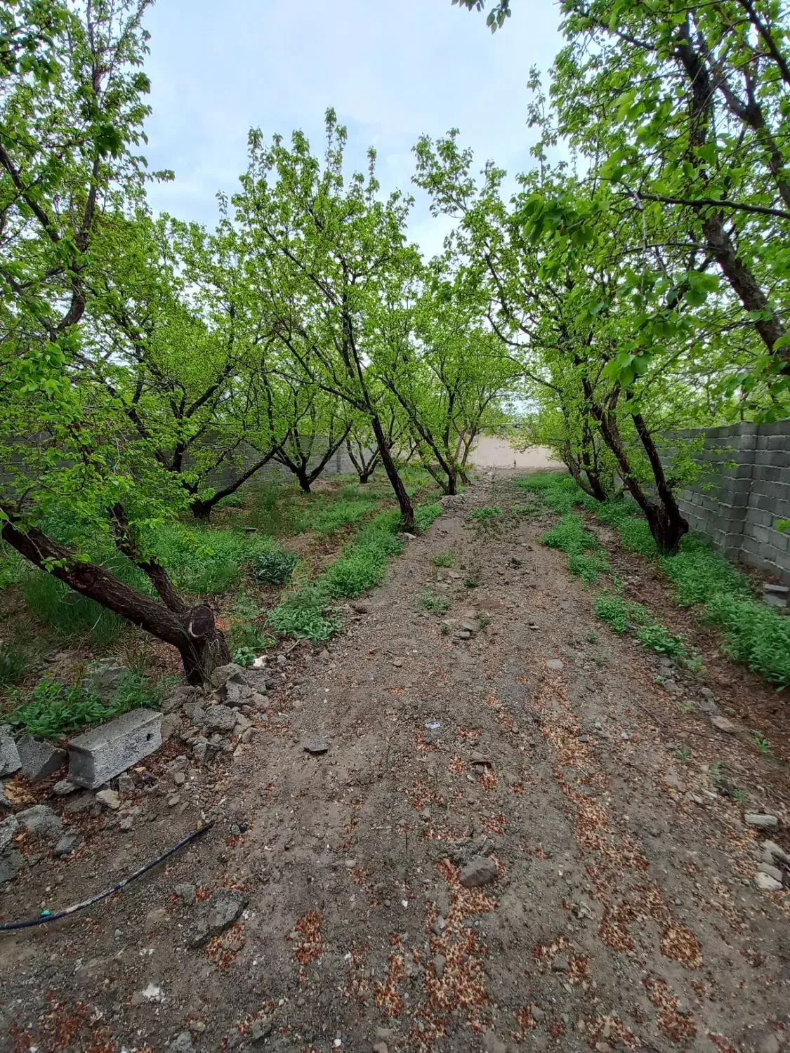 ۳۳۰ متری باغ ۴دیواری|فروش خانه و ویلا|شهریار, کرد امیر|دیوار