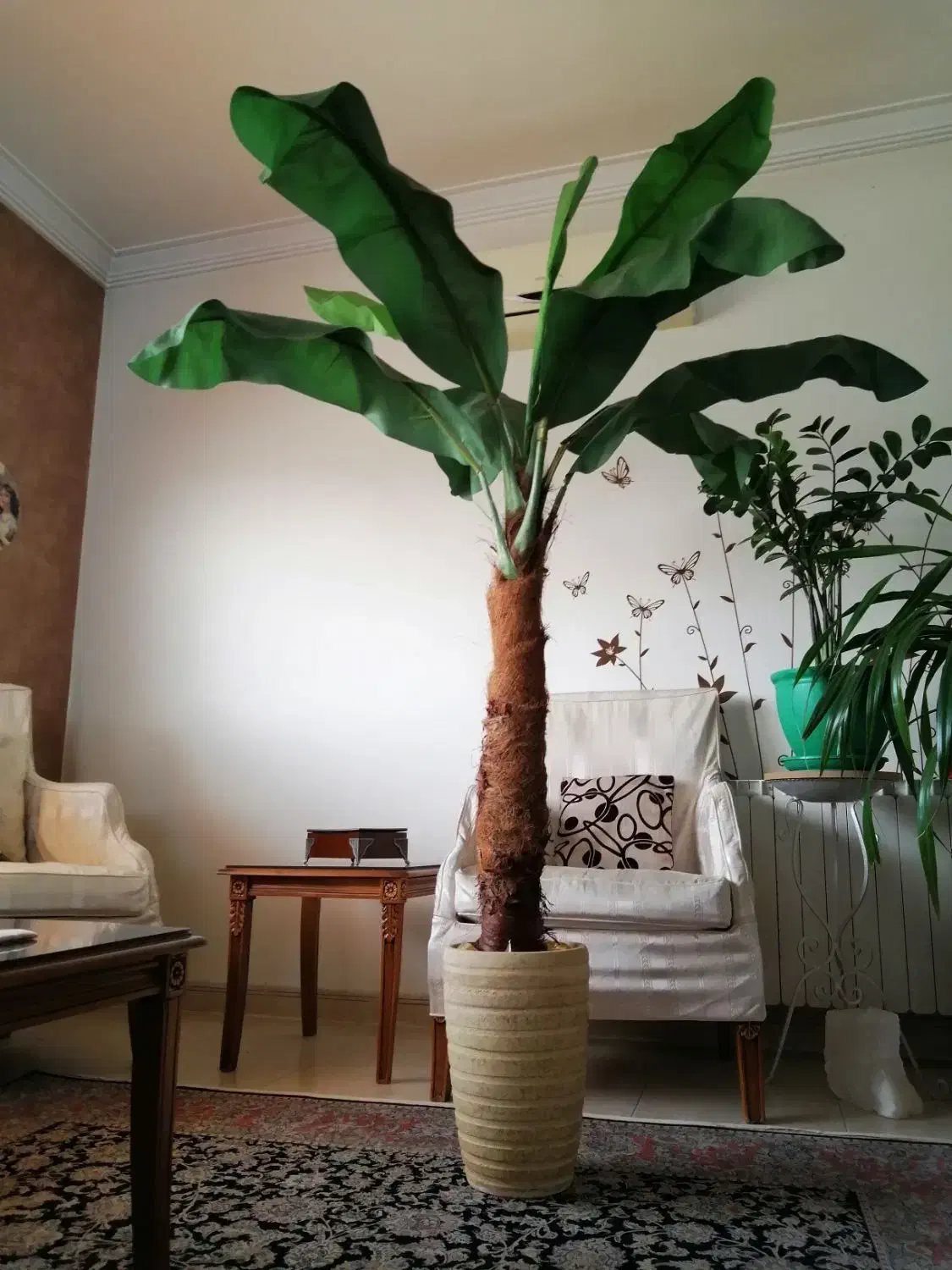 درخت موز خارجی|گل مصنوعی|تهران, سید خندان (جلفا)|دیوار