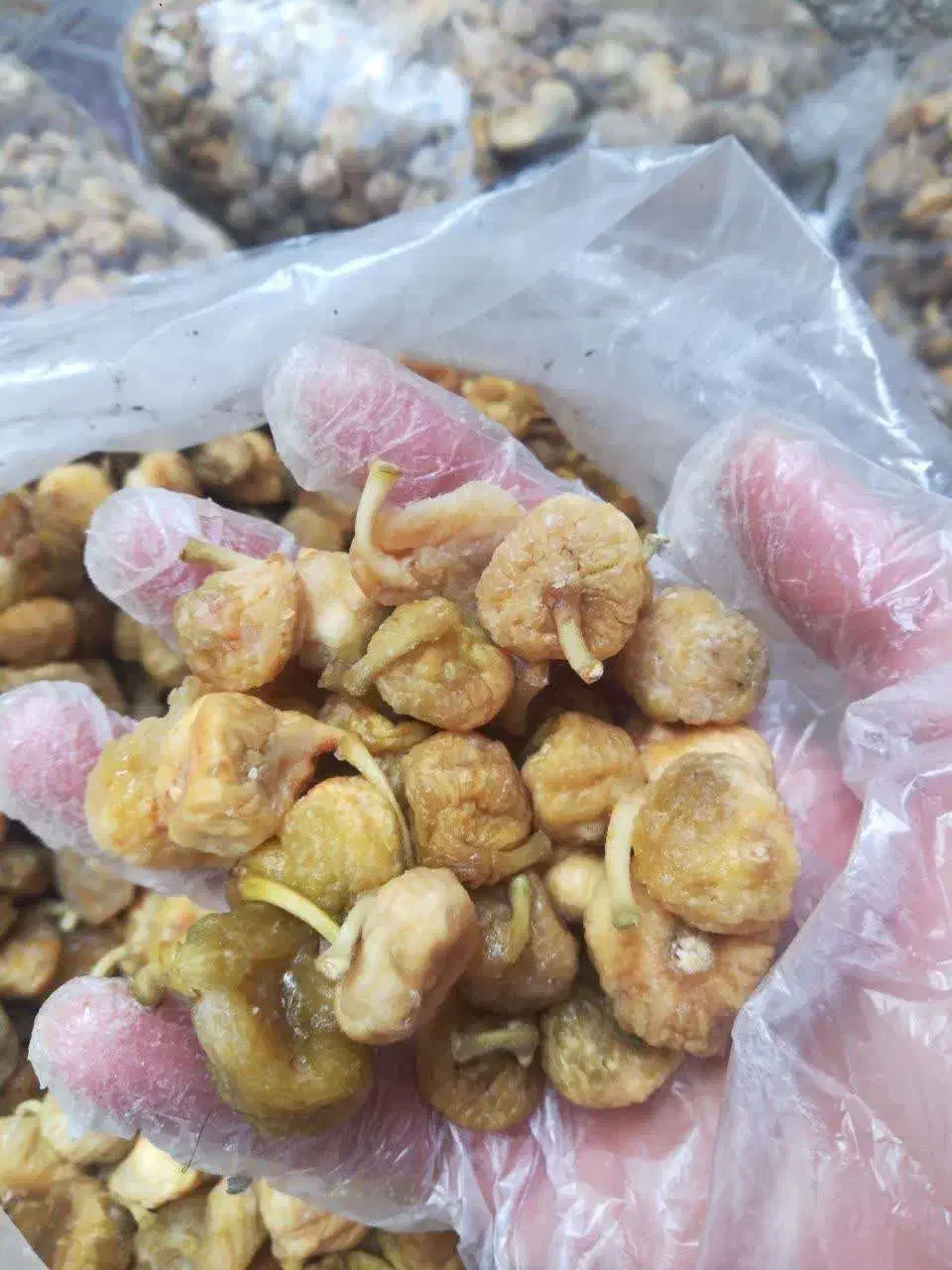 انجیر خشک کاشمر|خوردنی و آشامیدنی|مشهد, امام خمینی|دیوار