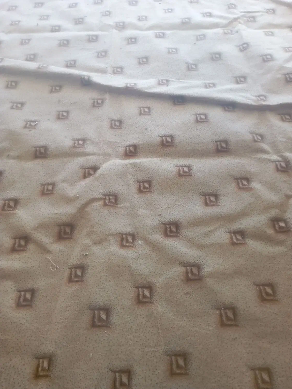 موکت در حد نو|موکت|گلبهار, شهر جدید گلبهار|دیوار