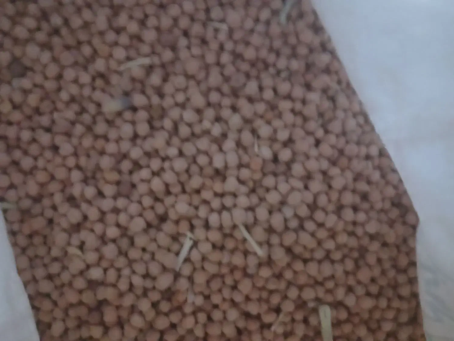 نخود|خوردنی و آشامیدنی|شیرین‌سو, |دیوار