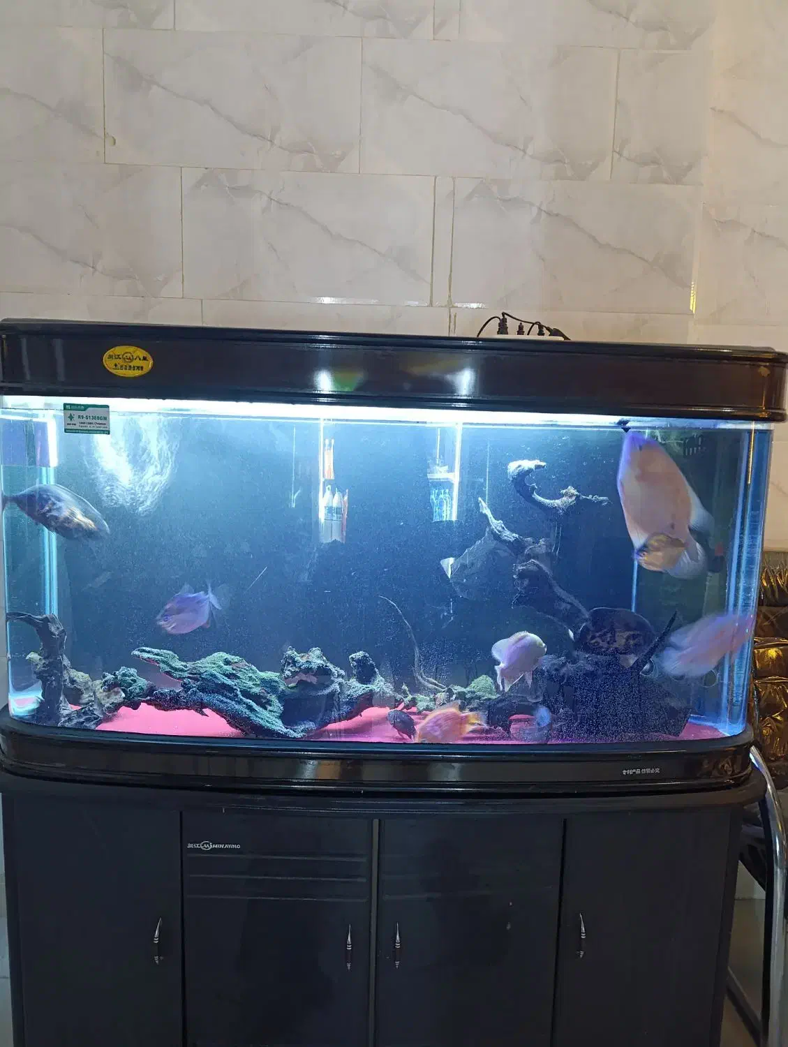 سه عدد آکواریم شرکتی|ماهی|گلبهار, شهر جدید گلبهار|دیوار