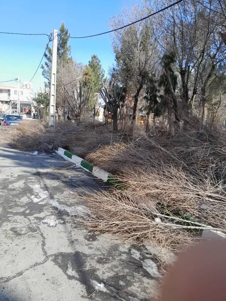 هرس کاری وبیل زنی و گل کاری و گیاه کاری|خدمات باغبانی و درختکاری|هشتگرد, قاسم آباد بزرگ|دیوار