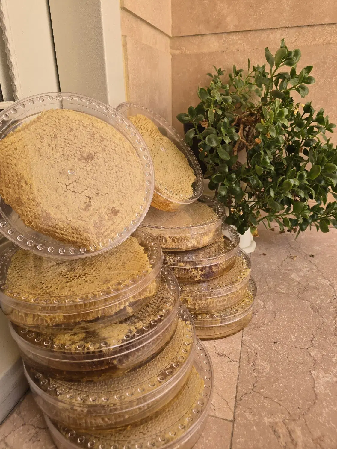 عسل طبیعی چهل گیاه|خوردنی و آشامیدنی|تهران, هفده شهریور|دیوار