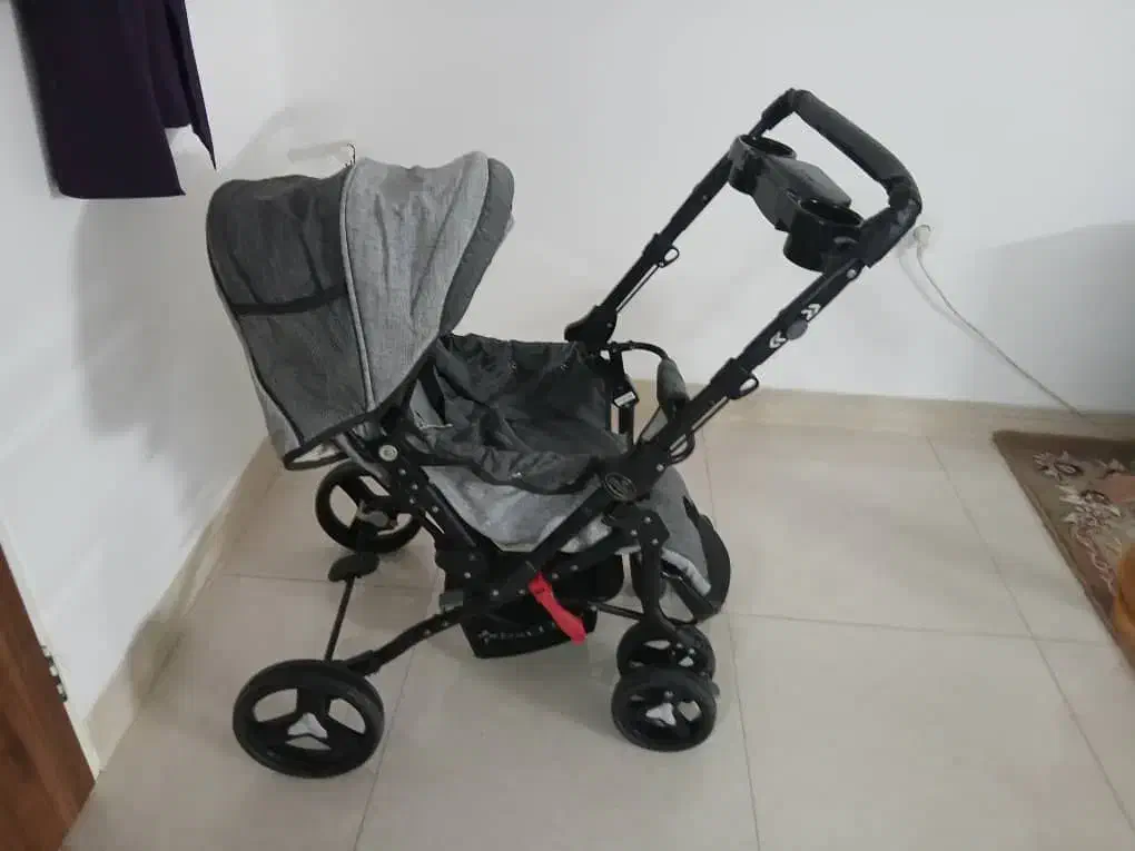 کالسکه دلیجان|کالسکه و لوازم جانبی|یزد, |دیوار