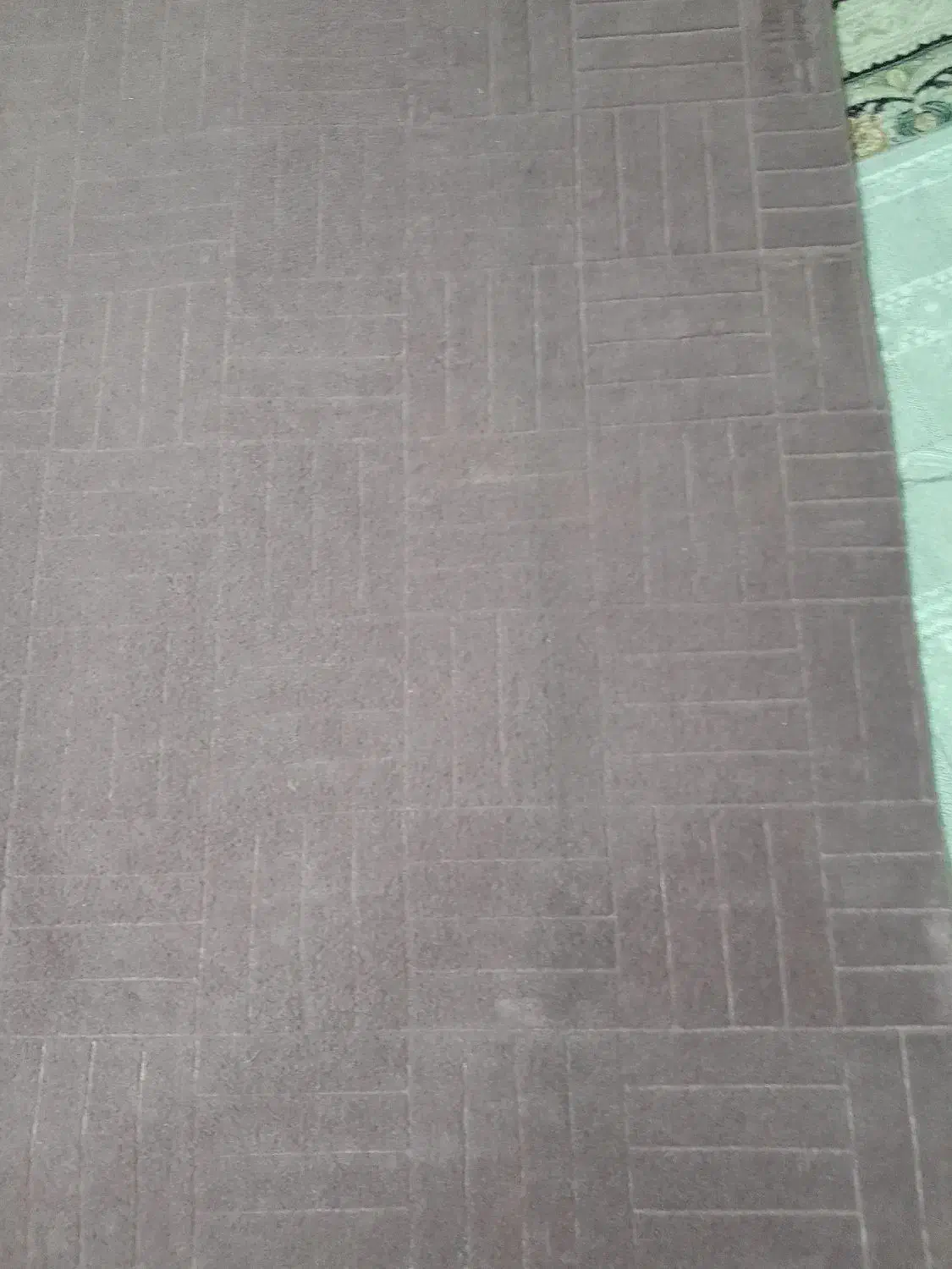 موکت نه متری رنگ بنفش|موکت|کرمانشاه, |دیوار