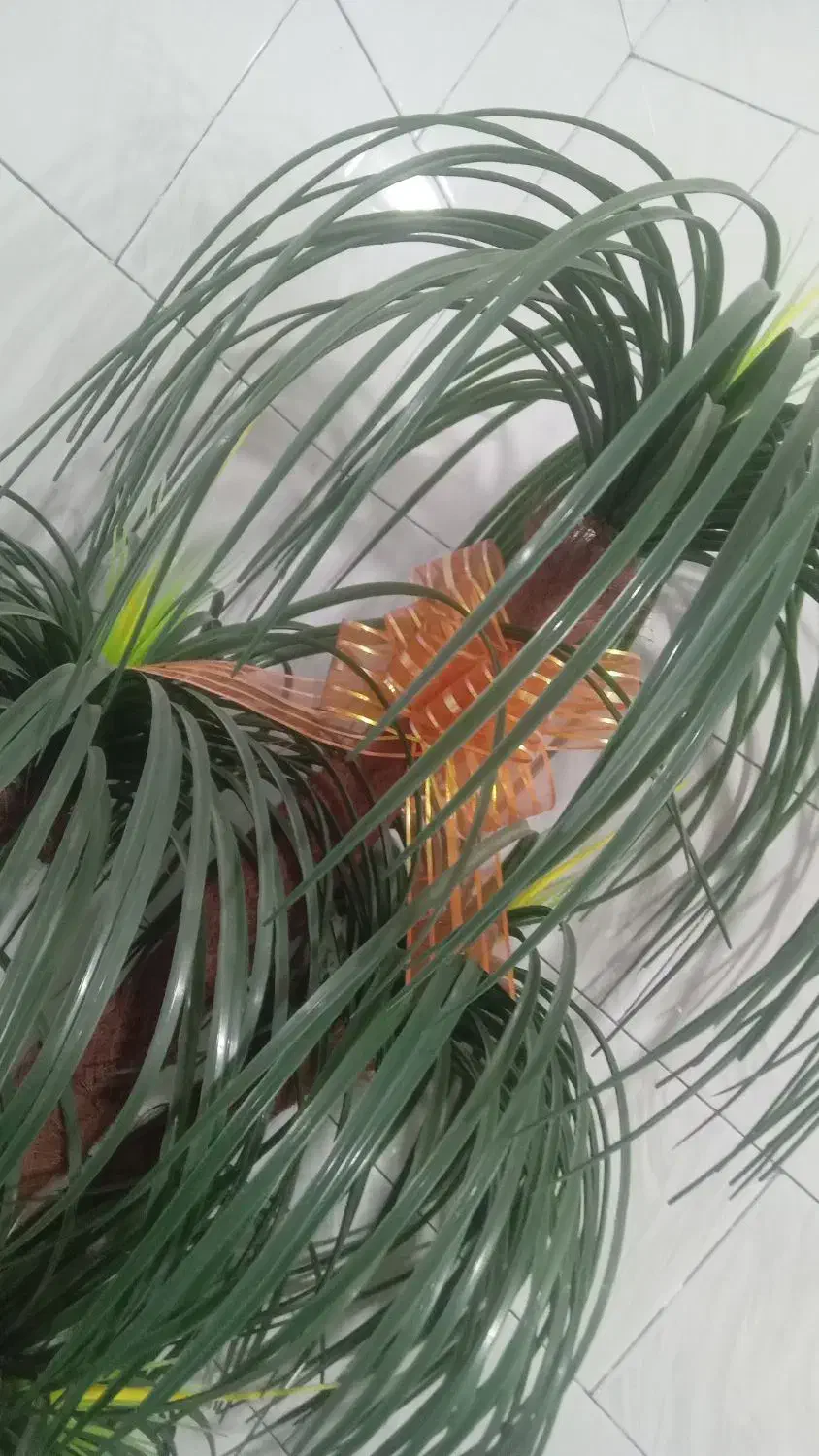گل نخل بسیار زیبا ،تازه برام کادو آوردن|گل مصنوعی|یاسوج, |دیوار