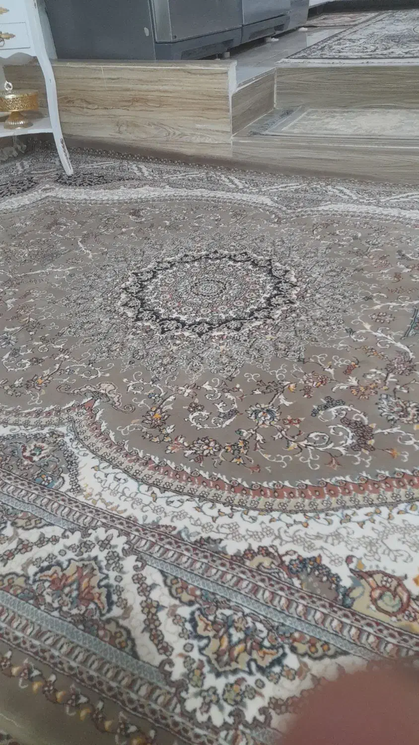 فروش فرش ۱۲ متری و۶ متری|فرش|کاشمر, |دیوار