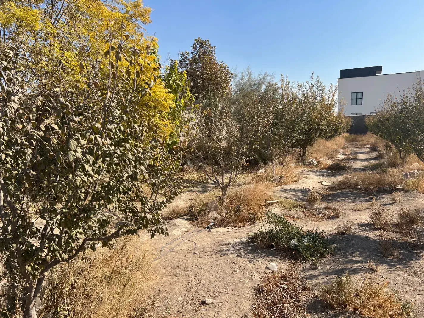 زمین باغی|فروش زمین و ملک کلنگی|شهریار, شهرک شاهد|دیوار