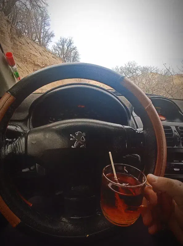 206اس دی v20|خودرو سواری و وانت|لردگان, |دیوار