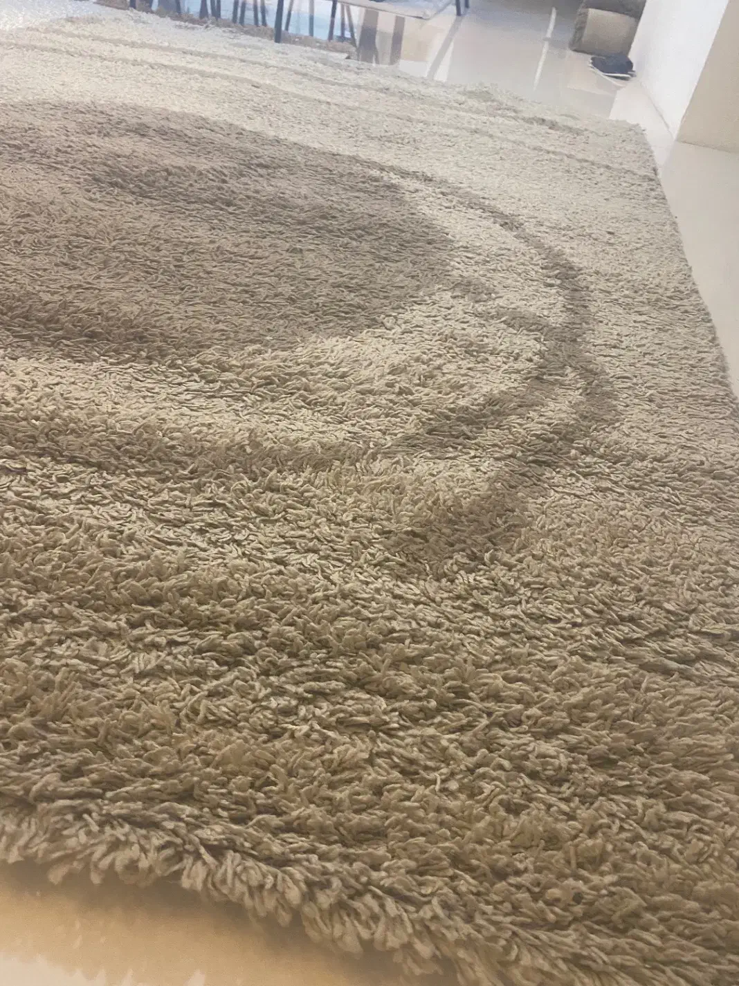 دو عدد فرش|فرش|بندرعباس, |دیوار