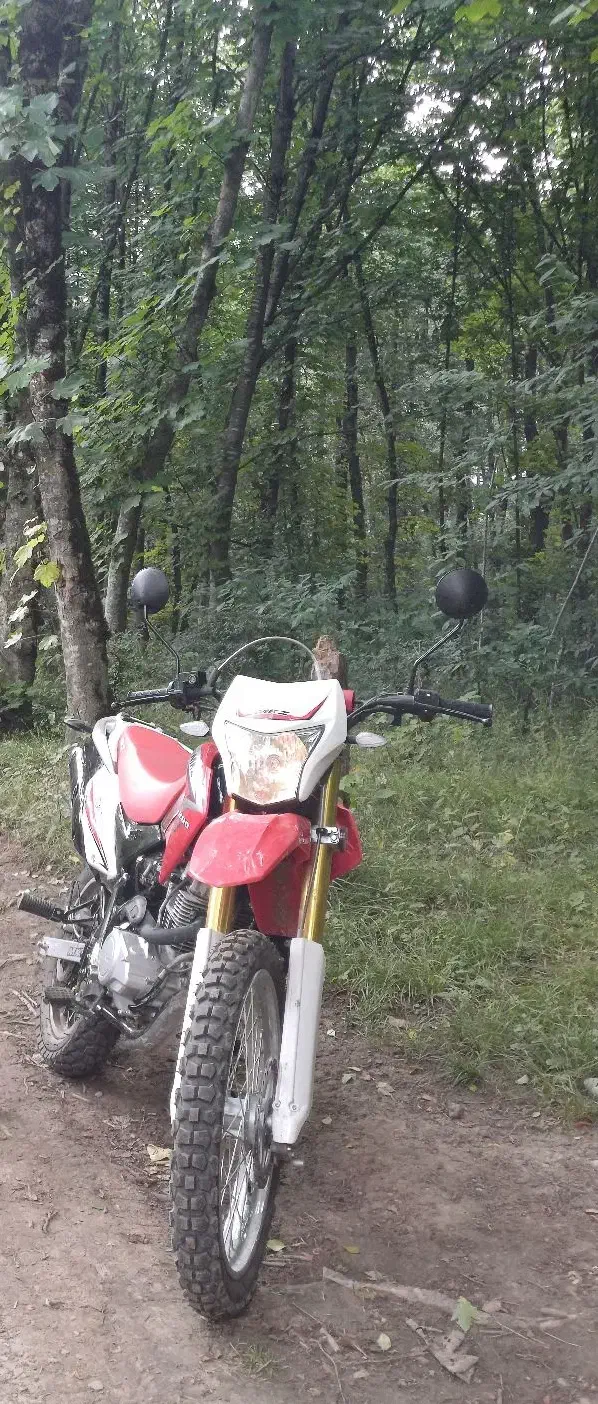 فروشی|موتورسیکلت|مینودشت, |دیوار