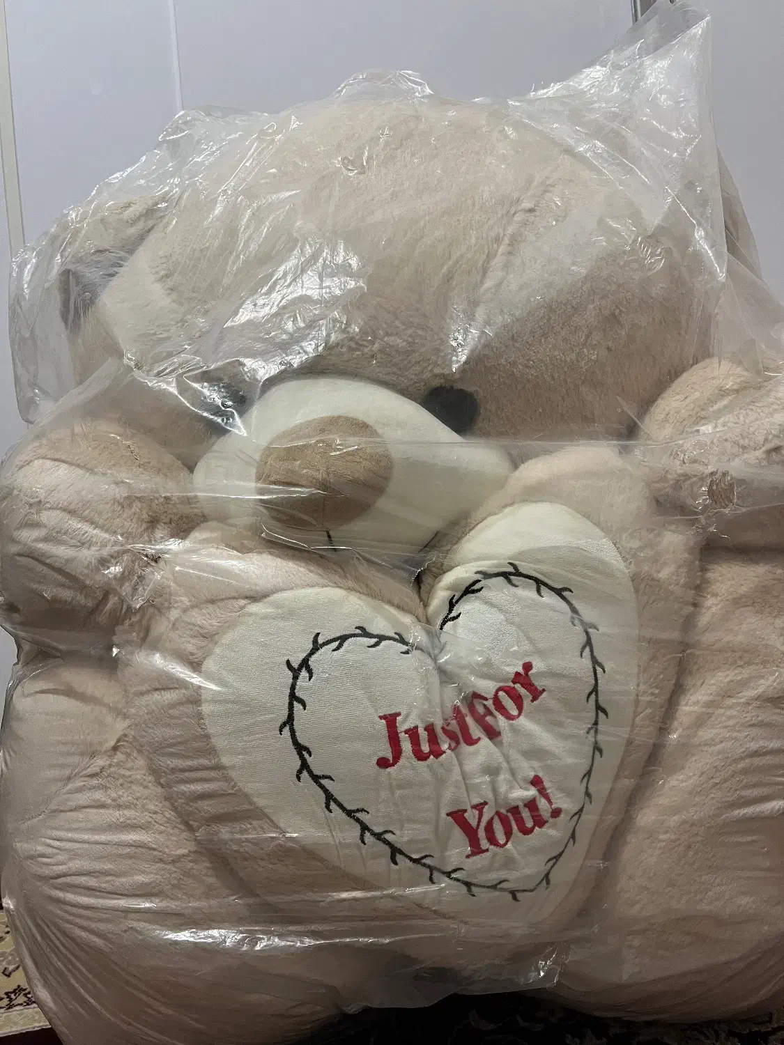 خرس|اسباب‌‌بازی|ماکو, |دیوار