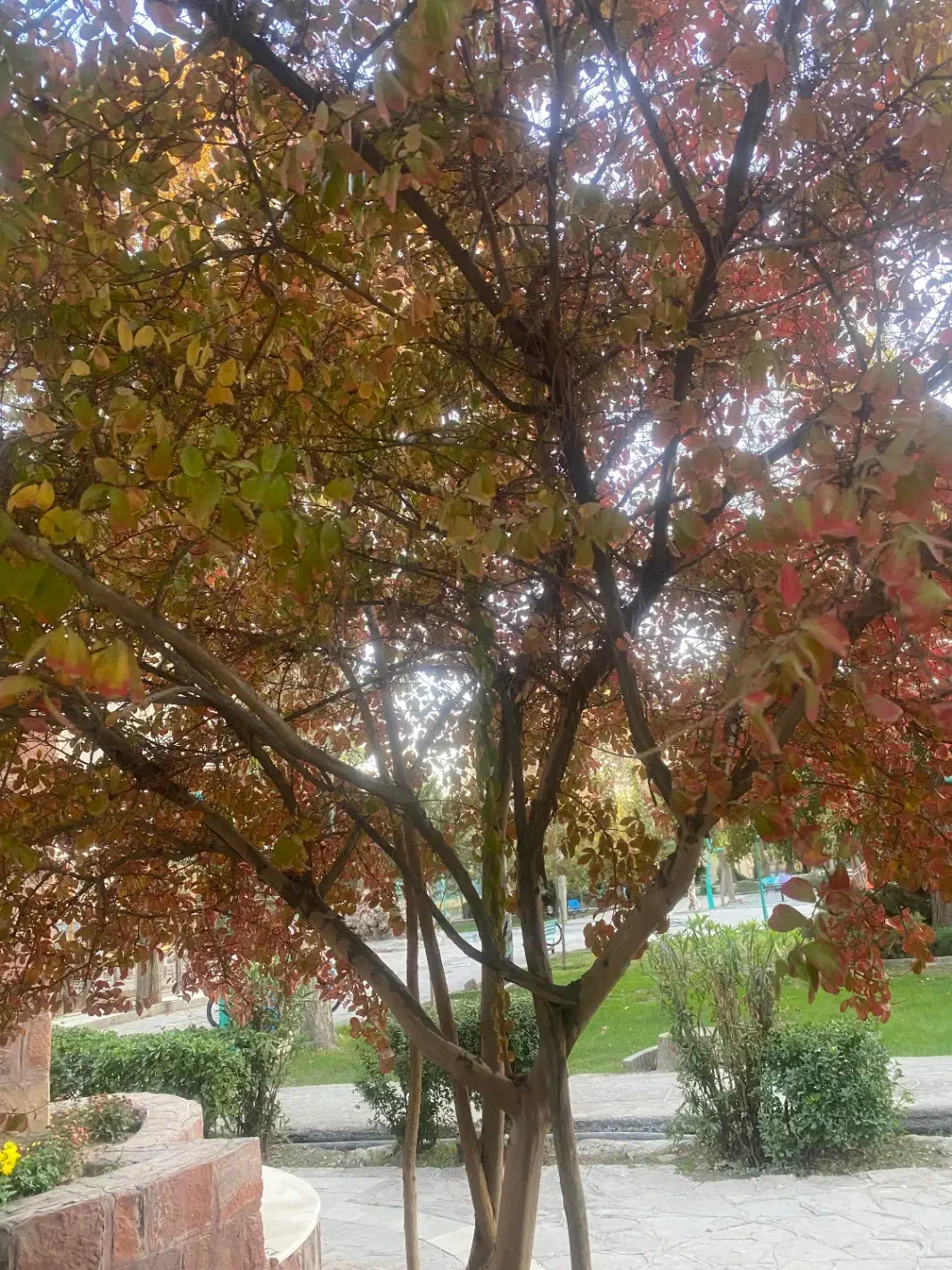 ساعت گمشده|اشیا|سبزوار, مدرس|دیوار