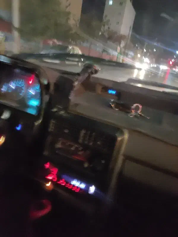 برگه سبز خودرو گم شده|اشیا|مشهد, چهارچشمه|دیوار