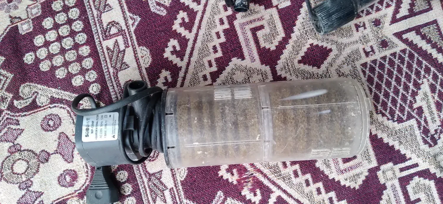 وسایل اکواریوم|ماهی|خوی, |دیوار