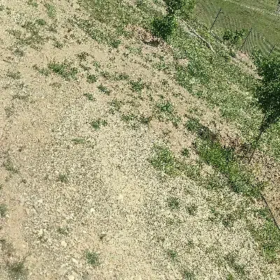 باغشهر مینو دشت|فروش دفتر صنعتی، کشاورزی، تجاری|سلطانیه, |دیوار