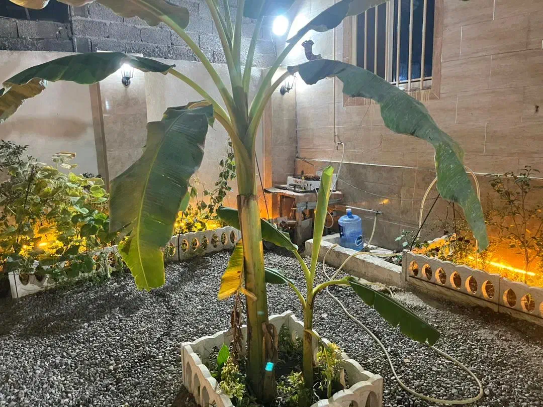 فروش ویلا 130 متر بنا 95 متر|فروش خانه و ویلا|رشت, احمد گوراب|دیوار