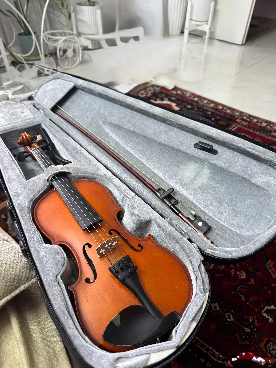 ویولن ۲/۴ TF|ویولن|شیراز, هفت تنان|دیوار