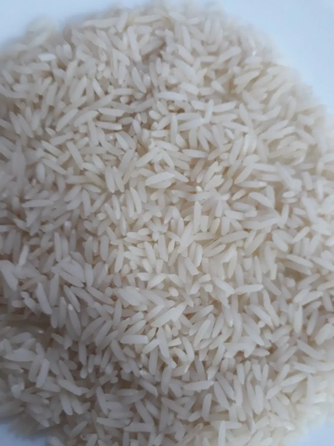 برنج هاشمی سورتینگ شده|خوردنی و آشامیدنی|رشت, جهاد|دیوار