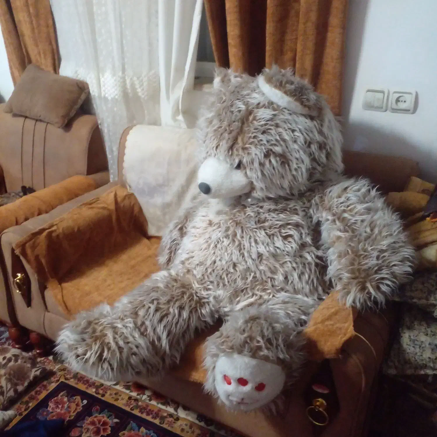 خرس بزرگ|اسباب‌‌بازی|لاهیجان, کوی زمانی|دیوار