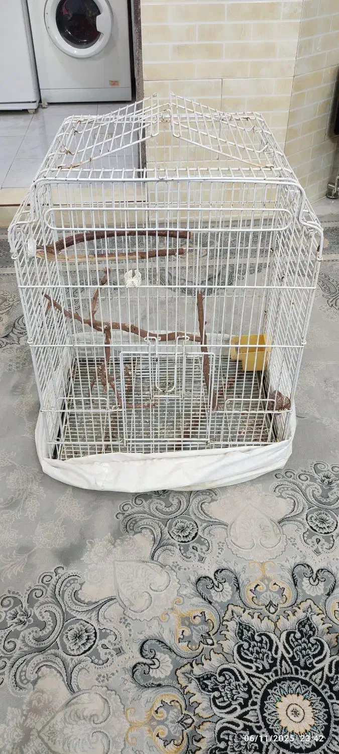 قفس کاسکو فروشی|لوازم جانبی حیوانات|پاکدشت, پاکدشت (مامازند)|دیوار