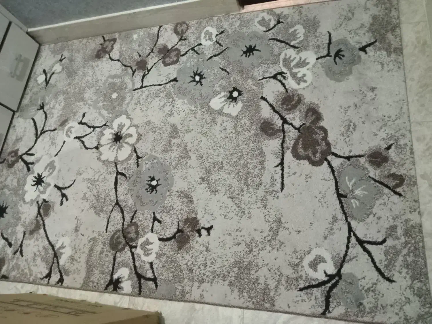 فرش ۴ متری|فرش|الوند, |دیوار