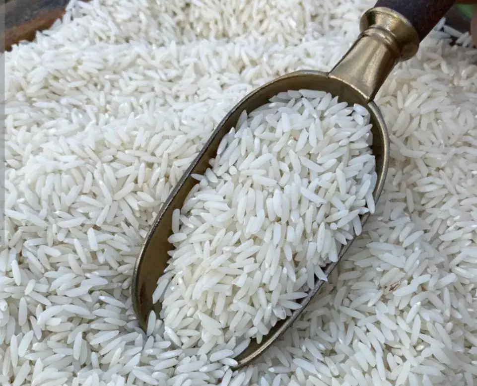 برنج طارم کشت لرستان|خوردنی و آشامیدنی|اصفهان, برازنده|دیوار