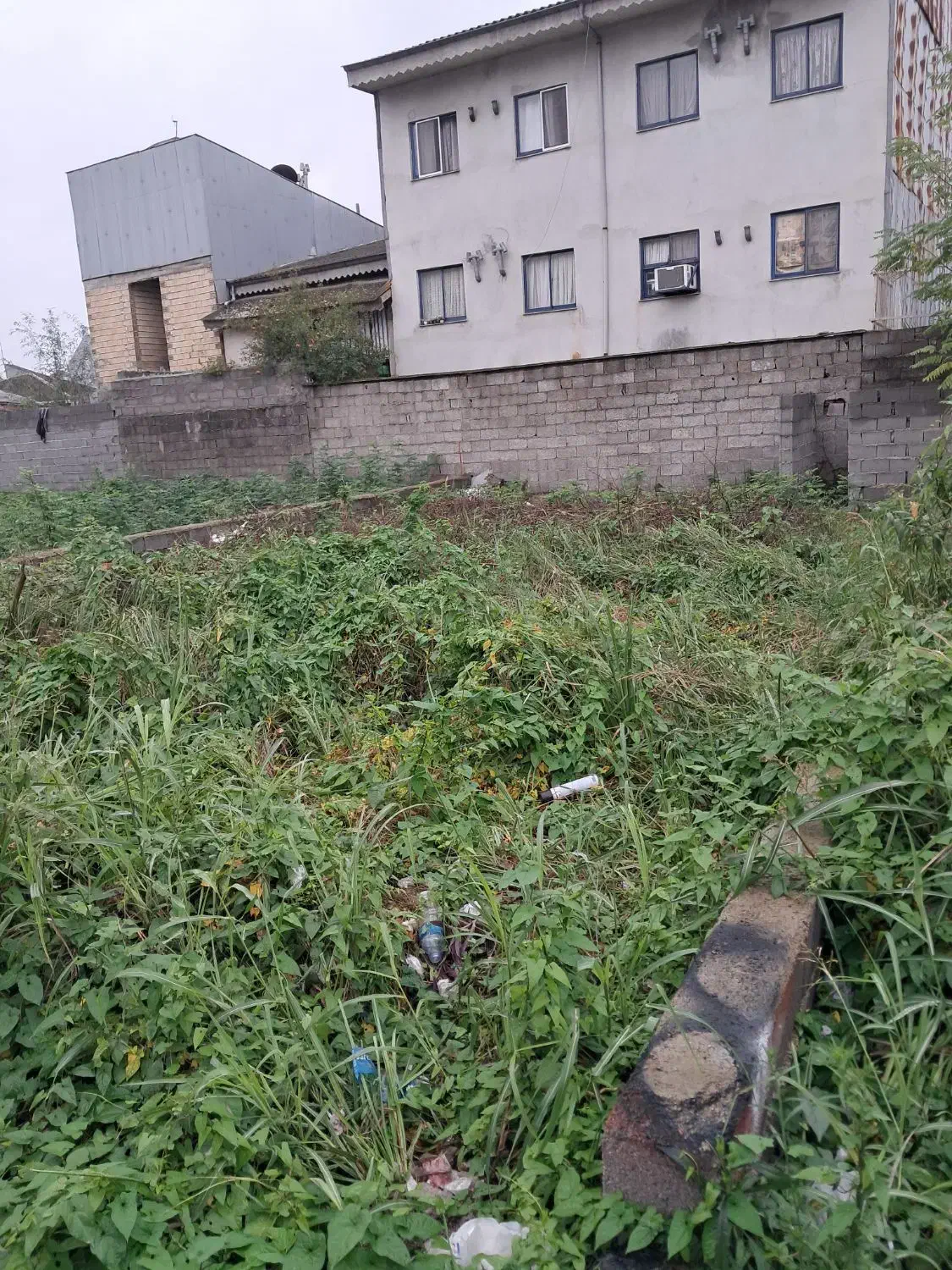 فروش زمین با سند تک برگ|فروش زمین و ملک کلنگی|رشت, سیا اسطلخ|دیوار