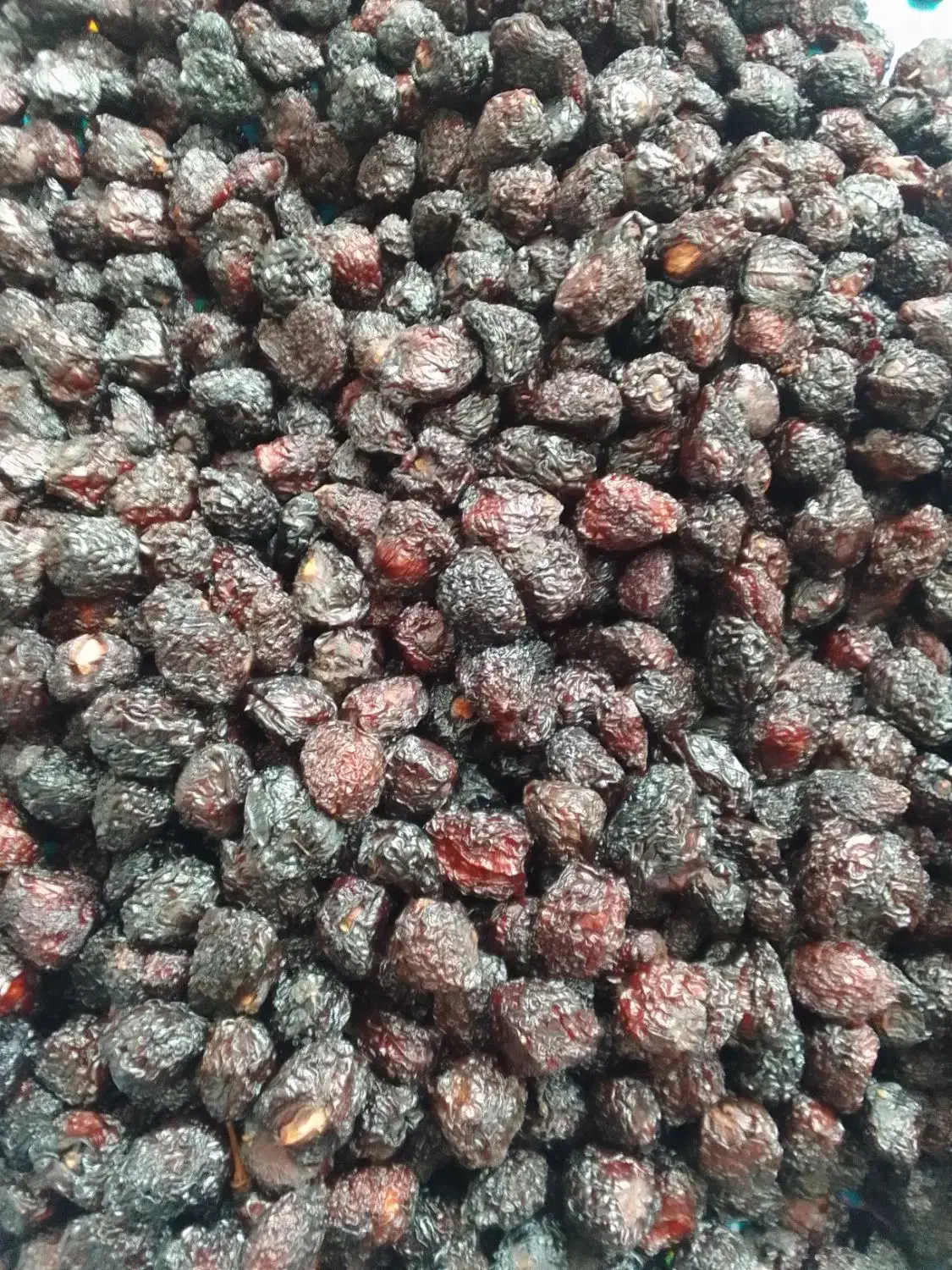 گیلاس خشک تازه امسال|خوردنی و آشامیدنی|بوکان, |دیوار