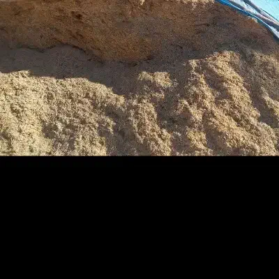 کاه گندم دیمی|عمده‌فروشی|سجاس رود, |دیوار