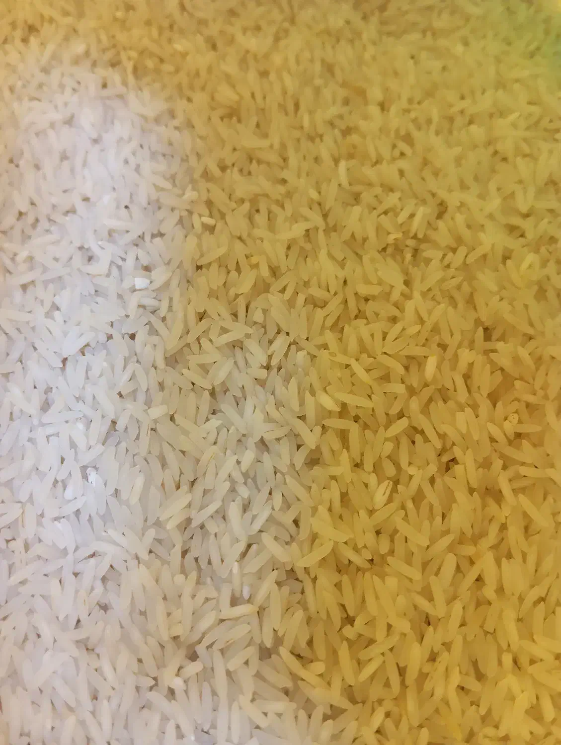 فروش برنج معطر|خوردنی و آشامیدنی|اردکان, |دیوار