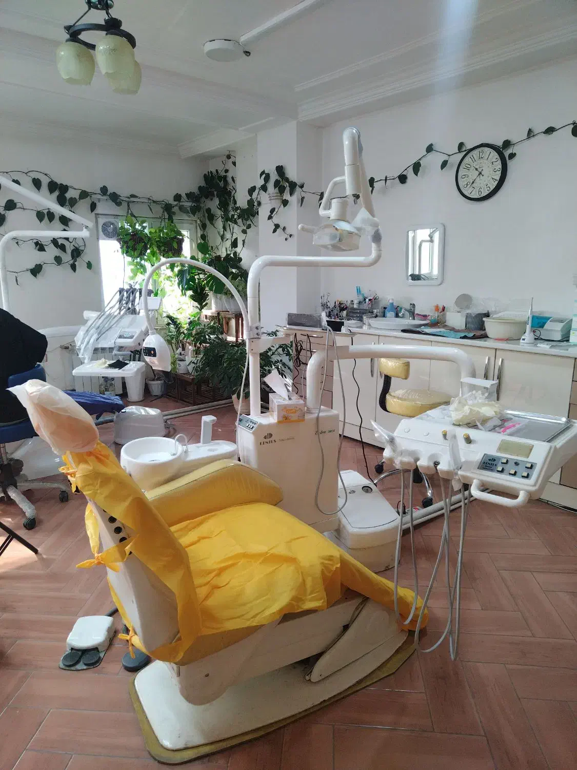 همکاری|استخدام درمانی، زیبایی، بهداشتی|گنبد کاووس, |دیوار