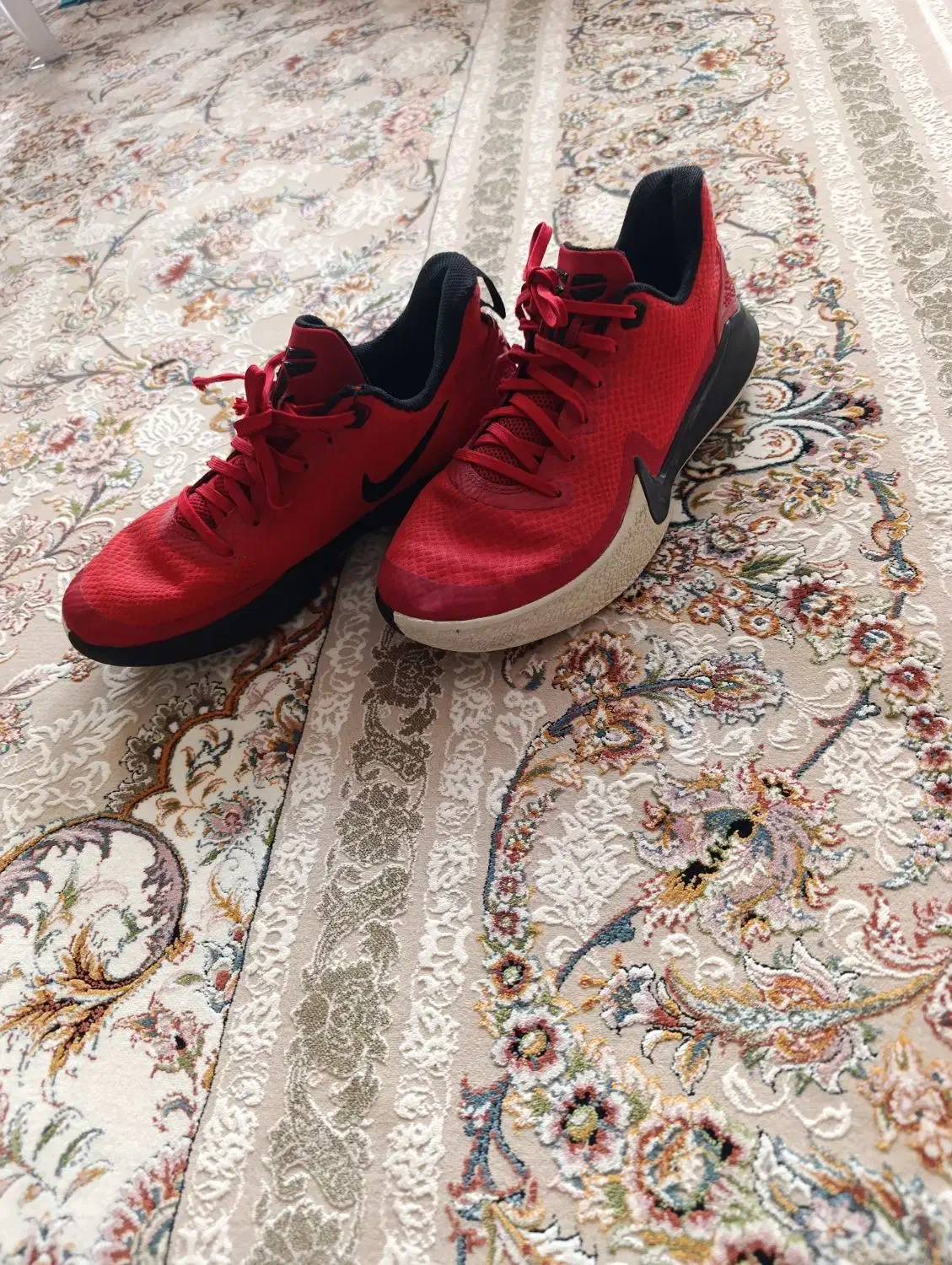 کفش نایک|کیف، کفش، کمربند|کرمانشاه, |دیوار