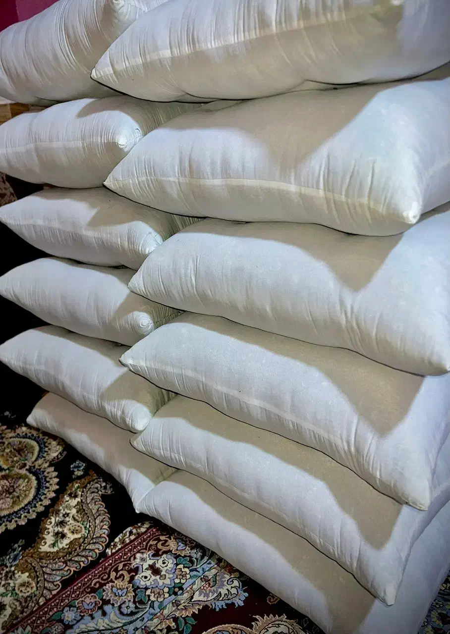 تولیدی پشتی|پشتی|میناب, |دیوار