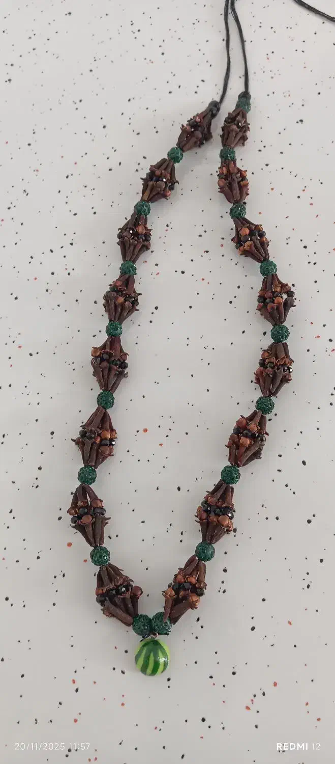 میخک|بدلیجات|سقز, |دیوار