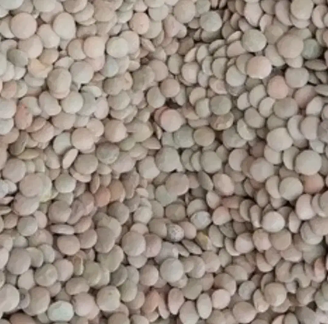 لوبیاوعدس زودپزایرانی برنج هندی و روغن نیمه جامد|خوردنی و آشامیدنی|قائم‌شهر, |دیوار