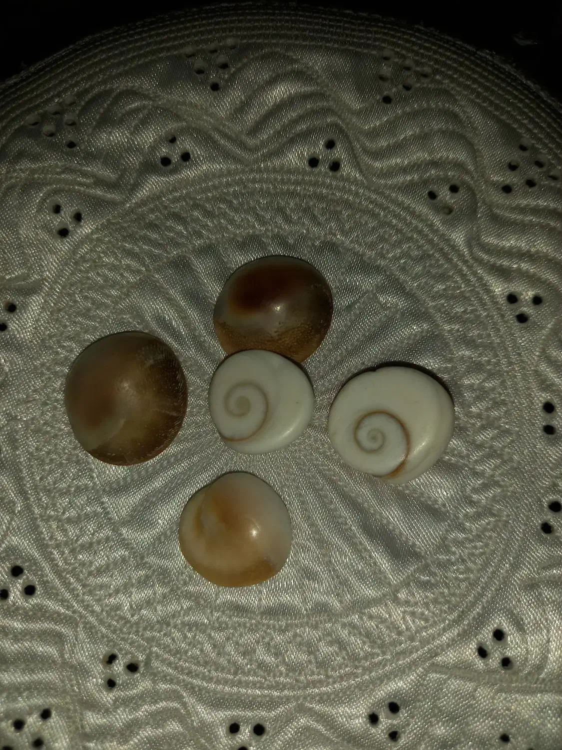 مهره ما.ر|زیورآلات و اکسسوری|کنارک, |دیوار