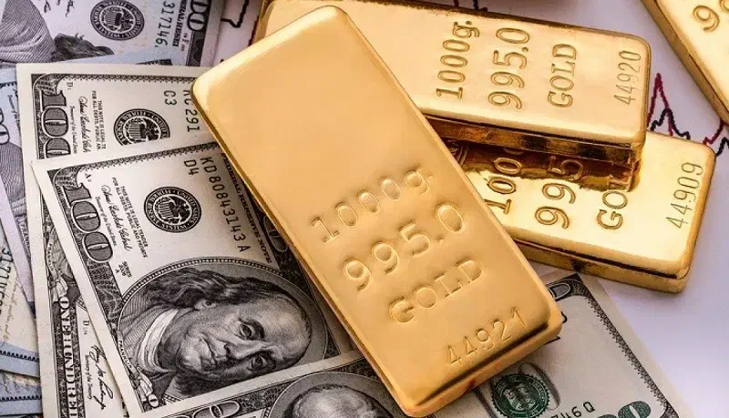 هدیه ۱۵۰ هزار تومانی|کارت هدیه و تخفیف|شیراز, آزادی|دیوار