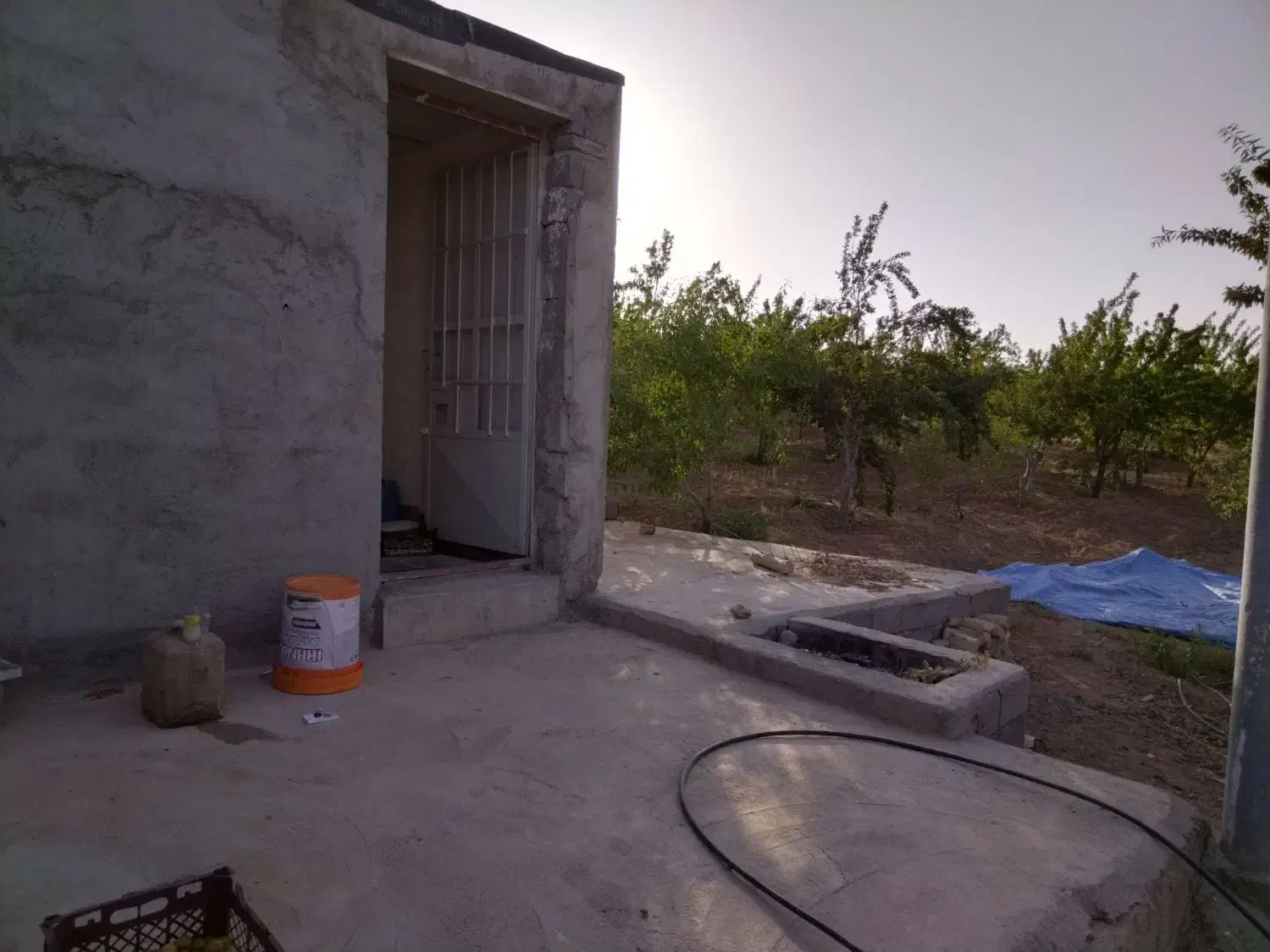 فروش باغ بادام ۲۰۰۰۰متری|فروش زمین و ملک کلنگی|بن, |دیوار