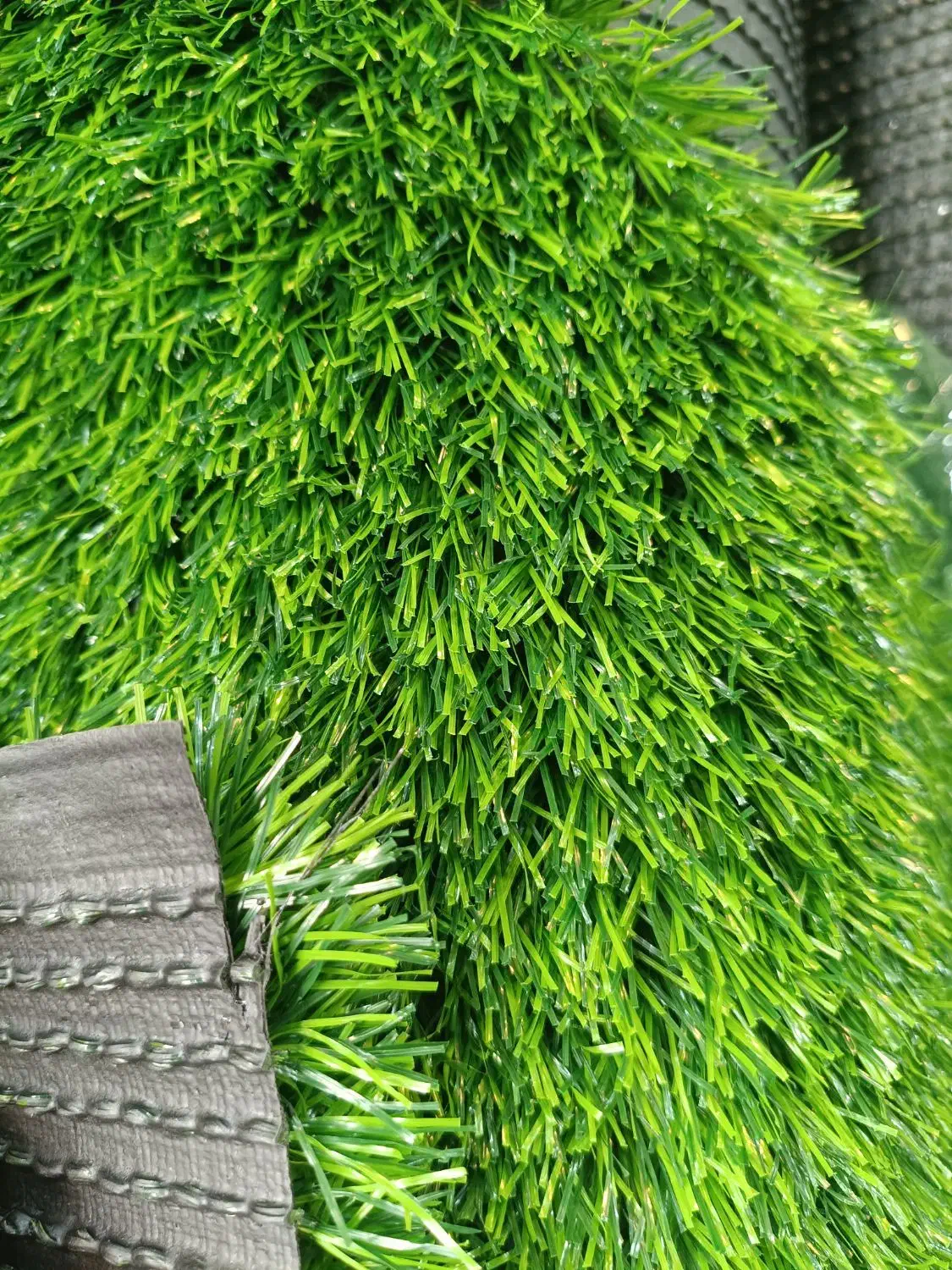 چمن مصنوعی|گل مصنوعی|شیراز, اصلاح‌نژاد|دیوار