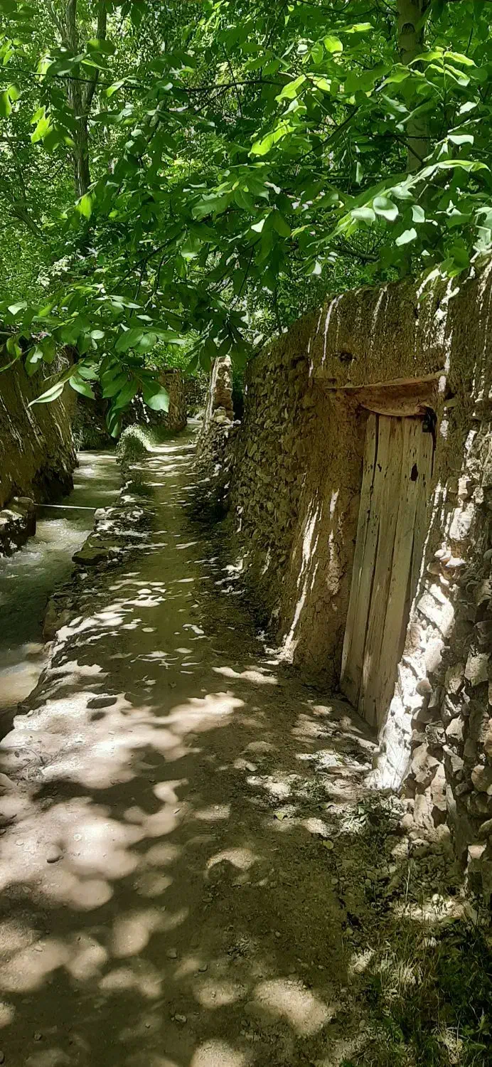 فروش باغ ویلا|فروش خانه و ویلا|نطنز, |دیوار