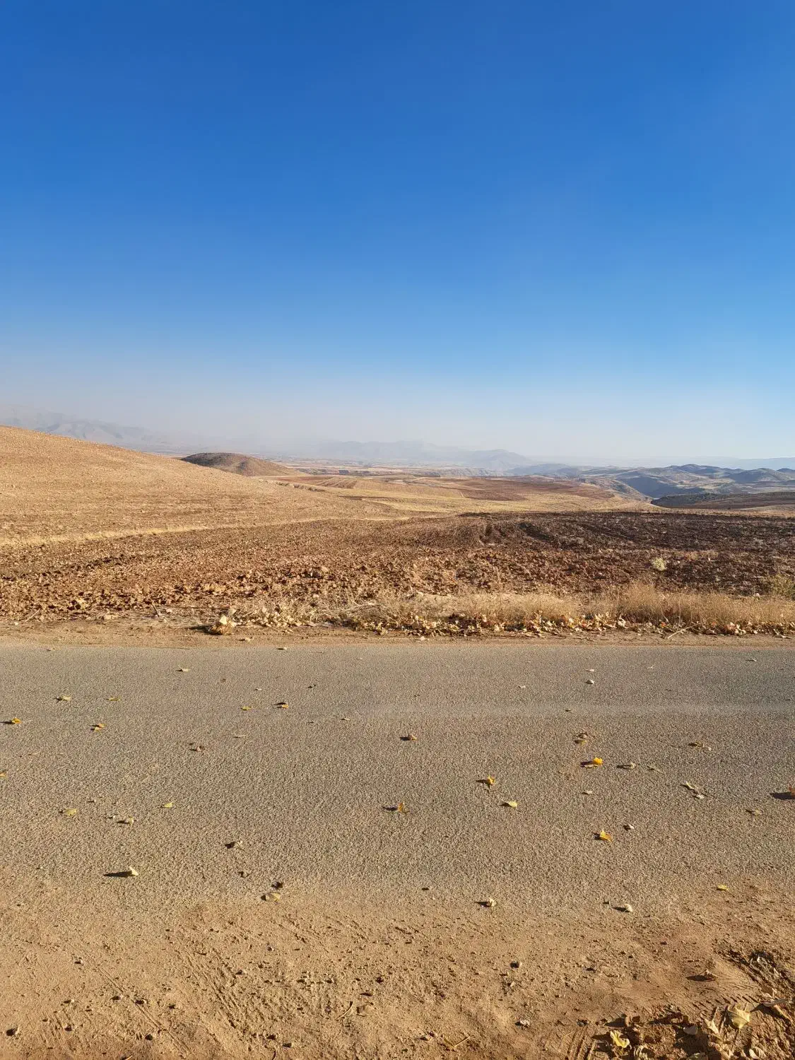 فروش زمین کشاورزی آبی|فروش دفتر صنعتی، کشاورزی، تجاری|سپیدان, |دیوار